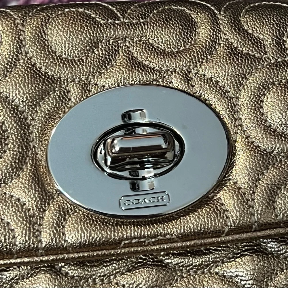 NWT Coach Madison Metallic Leather Small Bag